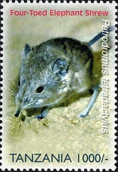 Species of Zanzibar - Preserve - Four Toed Elephant Shrew - Philately Tanzania stamps