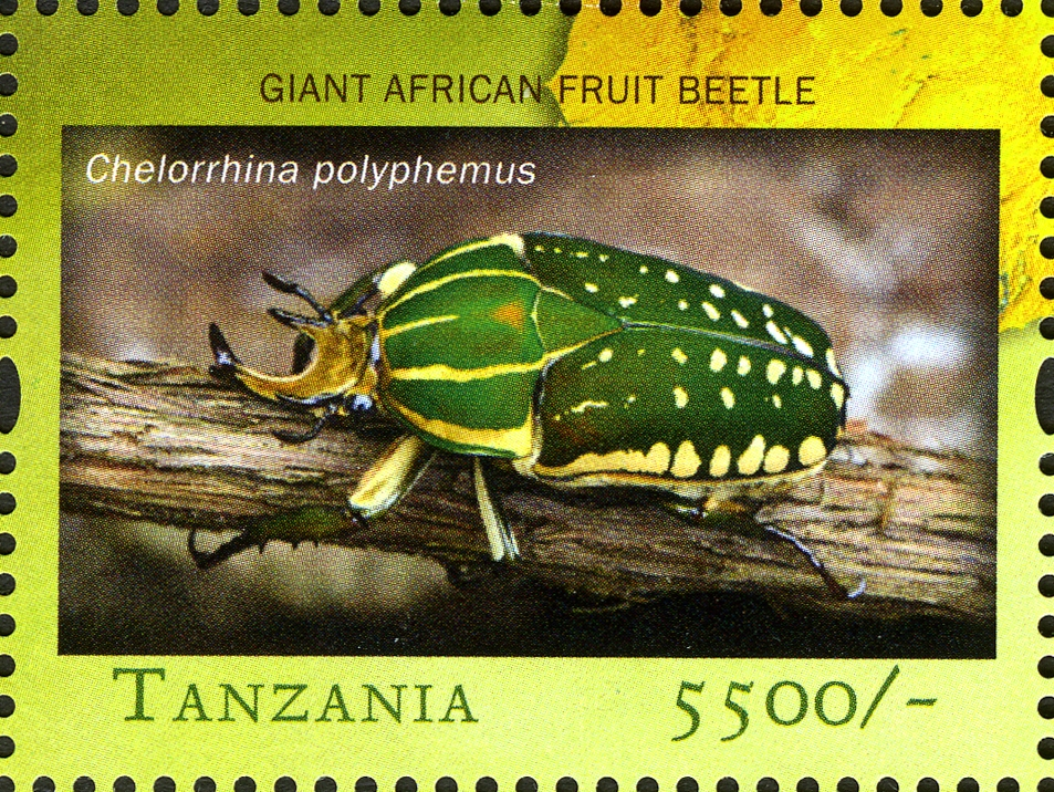 Fauna Insects -Giant African Fruit Beetle - Philately Tanzania stamps