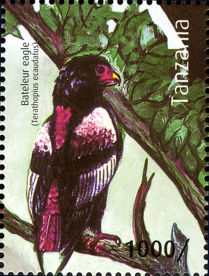 Bateleur Eagle - Philately Tanzania stamps