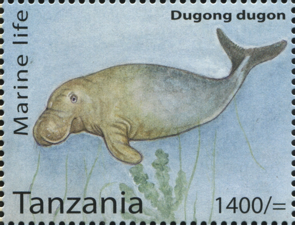 Marine Life - Dugong dugon - Philately Tanzania stamps
