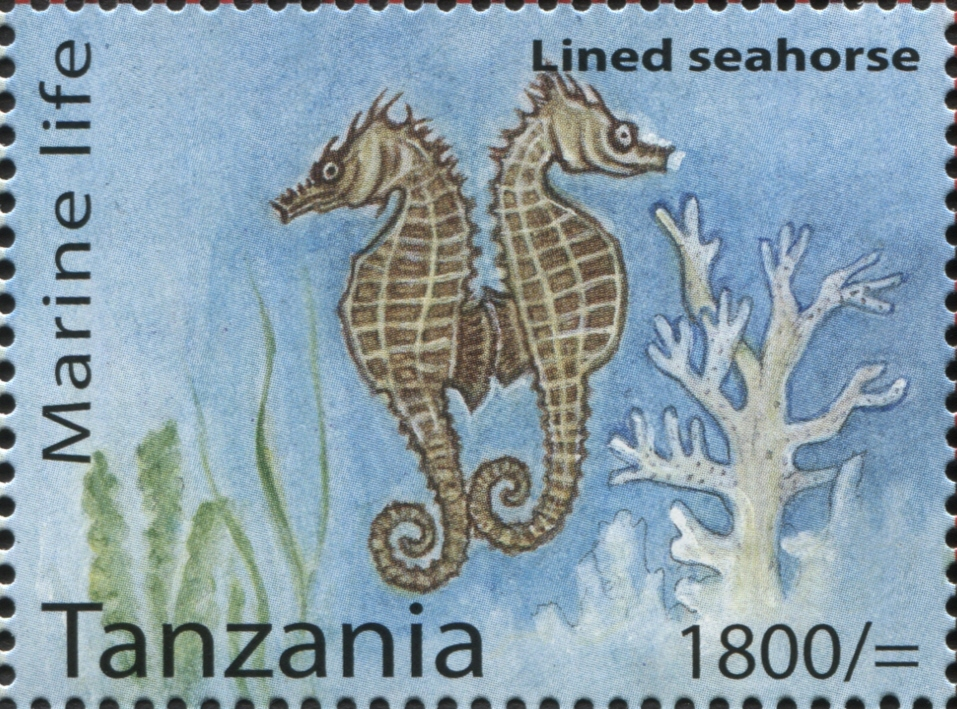 Marine Life - Lined Seahorse - Philately Tanzania stamps