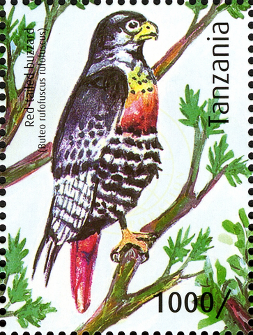 Red-tailed Buzzard - Philately Tanzania stamps