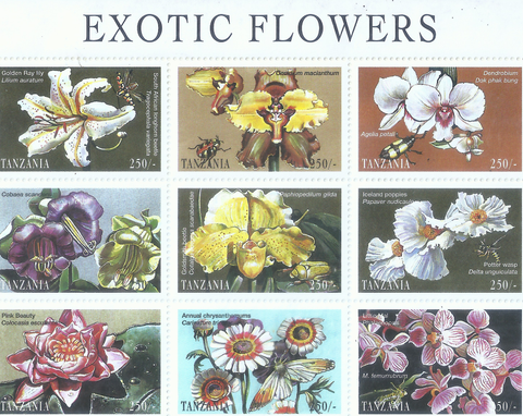 EXOTIC FLOWERS