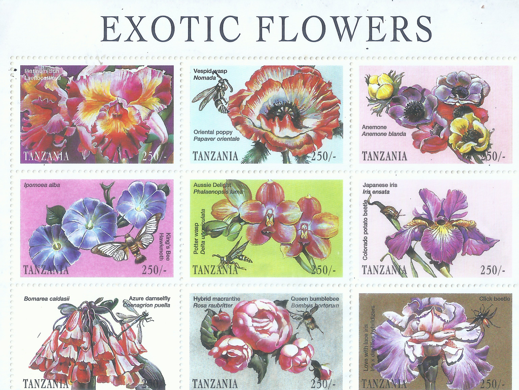 EXOTIC FLOWERS