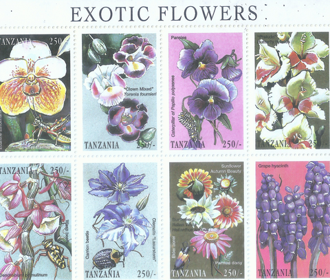 EXOTIC FLOWERS