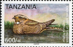 Endemic Birds of Tanzania - Usambara Nightjar - Philately Tanzania stamps