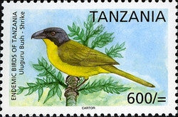 Endemic Birds of Tanzania - Uluguru Bush-shrike - Philately Tanzania stamps