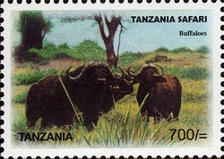 Tanzania Safari - Buffaloes - Philately Tanzania stamps