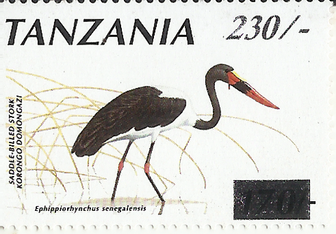 Birds (Korongo)