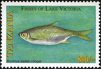 Fishes of Lake Victoria - Brycinus - Philately Tanzania stamps