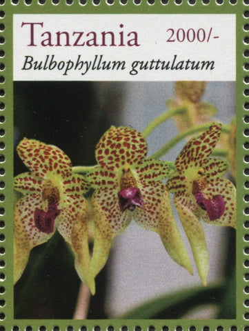 Orchids - Bulbophyllum - Philately Tanzania stamps