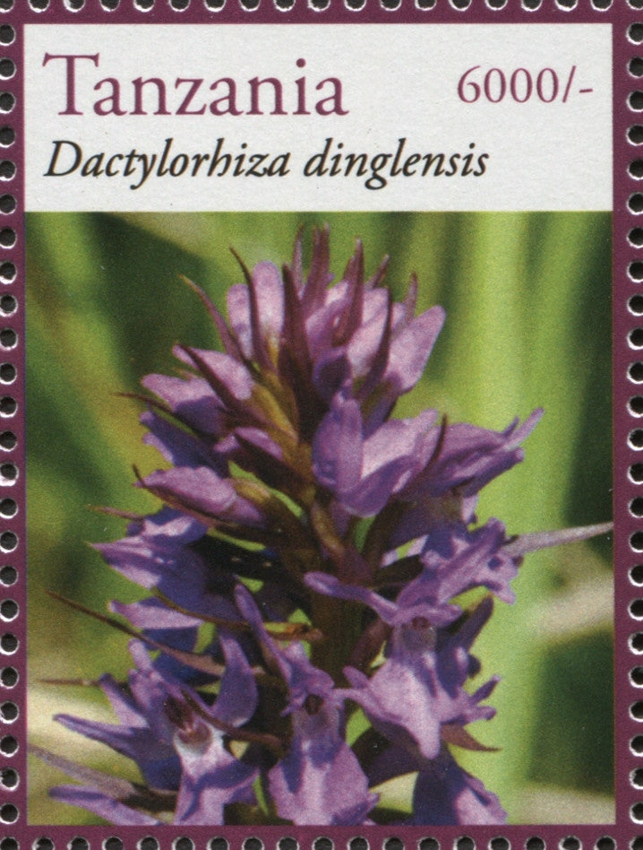 Orchids -Dactylorhiza - Philately Tanzania stamps