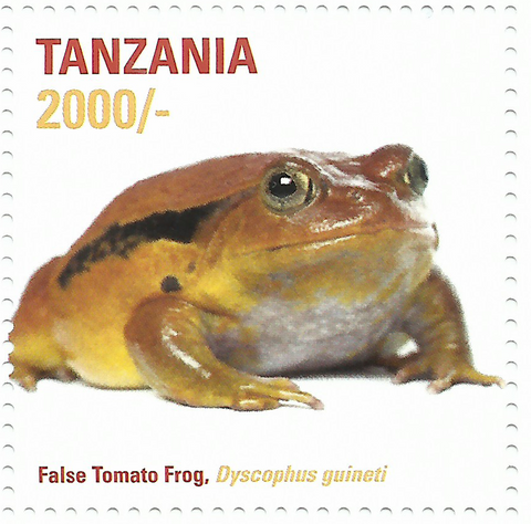 African Frogs- False Tomato - Philately Tanzania stamps