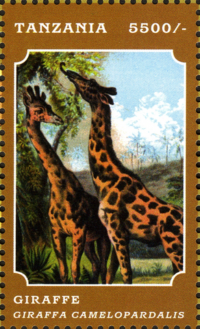 Fauna Mammals - Giraffe - Philately Tanzania stamps
