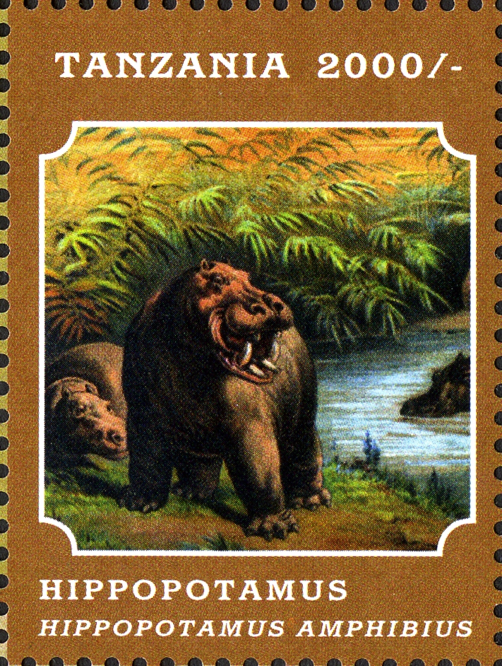 Fauna Mammals- Hippopotamus - Philately Tanzania stamps