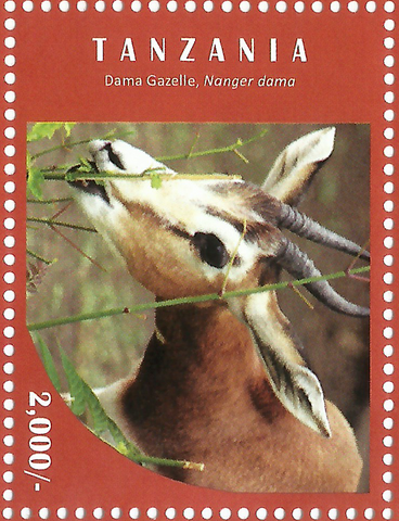 Gazelle - Philately Tanzania stamps