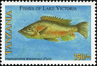 Fishes of Lake Victoria - Haplochromis - Philately Tanzania stamps
