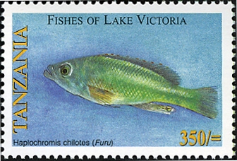Fishes of Lake Victoria - Haplochromis chilotes - Philately Tanzania stamps