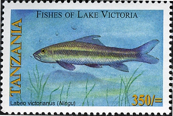 Fishes of Lake Victoria - Labeo - Philately Tanzania stamps