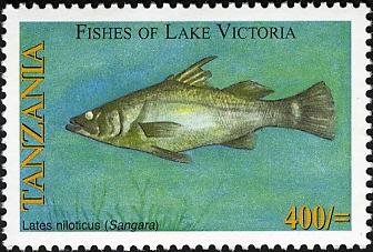 Fishes of Lake Victoria - Lates niloticus - Philately Tanzania stamps