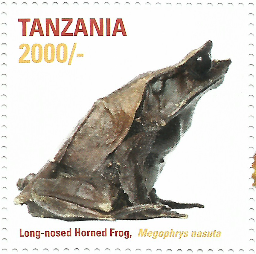 African Frogs Long-nosed Horned - Philately Tanzania stamps