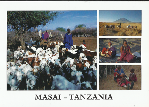<p><strong><img src="https://cdn.shopify.com/s/files/1/1554/1467/files/new6__e0_large.gif?v=1508145363" alt="" /> Masai with Cows</strong></p>