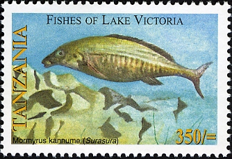 Fishes of Lake Victoria - Mormyrus - Philately Tanzania stamps