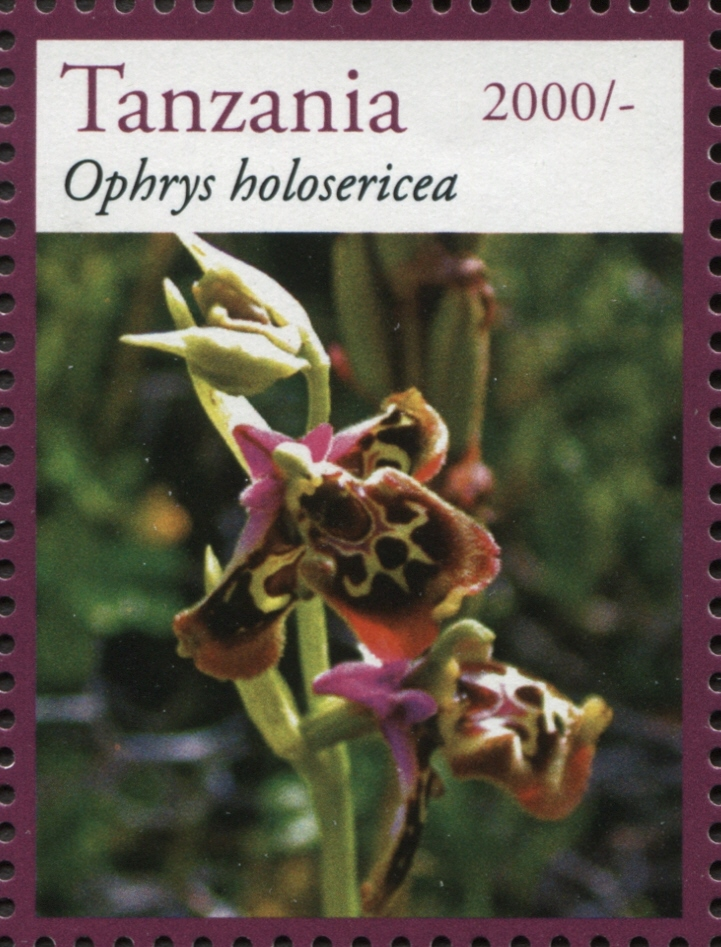 Orchids - Ophrys - Philately Tanzania stamps