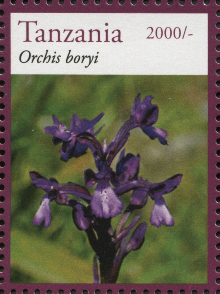 Orchids - Orchis boryi - Philately Tanzania stamps