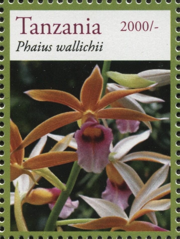 Flora - Phaius Wallichii - Philately Tanzania stamps
