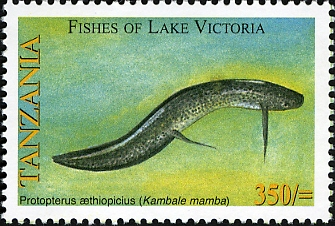 Fishes of Lake Victoria - Protopterus - Philately Tanzania stamps