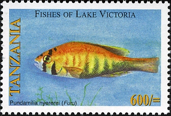 Fishes of Lake Victoria - Pundamilia nyererei - Philately Tanzania stamps