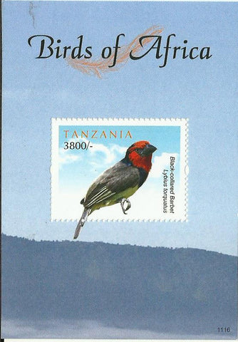 Birds of Africa - Black-collared Barbet - Souvenir - Philately Tanzania stamps