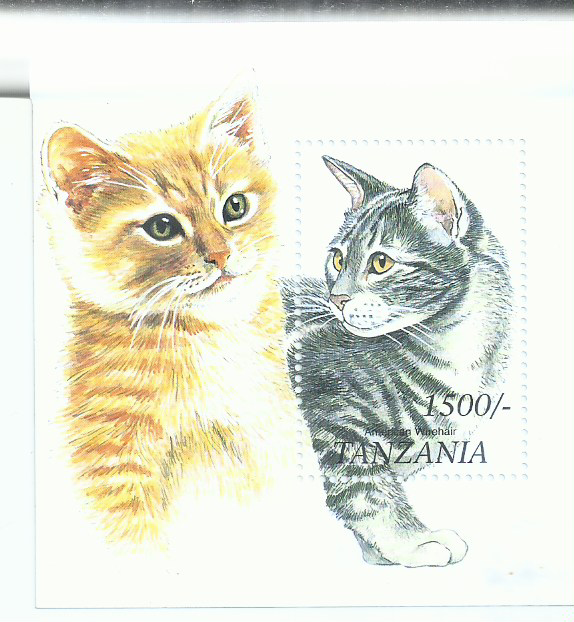 FAUNA AND FLORA CATS AND DOGS