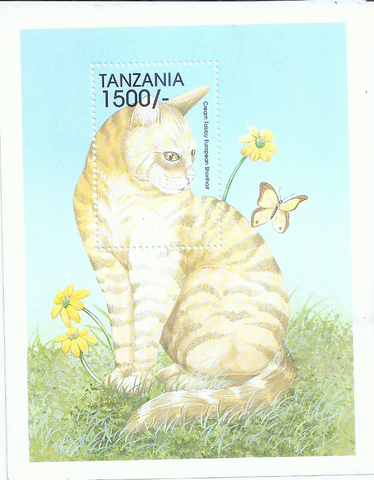 FAUNA AND FLORA CATS AND DOGS