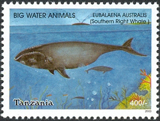 Big Water Animals - Southern Right Whale (Eubalaena australis) - Philately Tanzania stamps