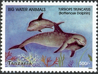 Big Water Animals-Bottlenose Dolphine - Philately Tanzania stamps