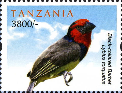Black-collared Barbet - Philately Tanzania stamps