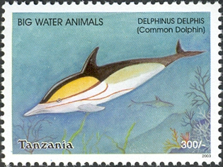 Big Water Animals-Common dolphin - Philately Tanzania stamps