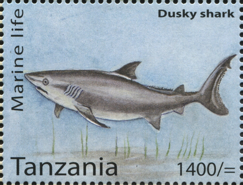 Marine Life - Dusky shark - Philately Tanzania stamps