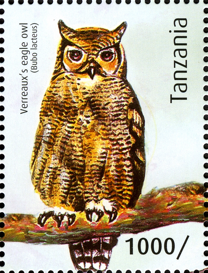 Verreaux's Eagle Owl - Philately Tanzania stamps