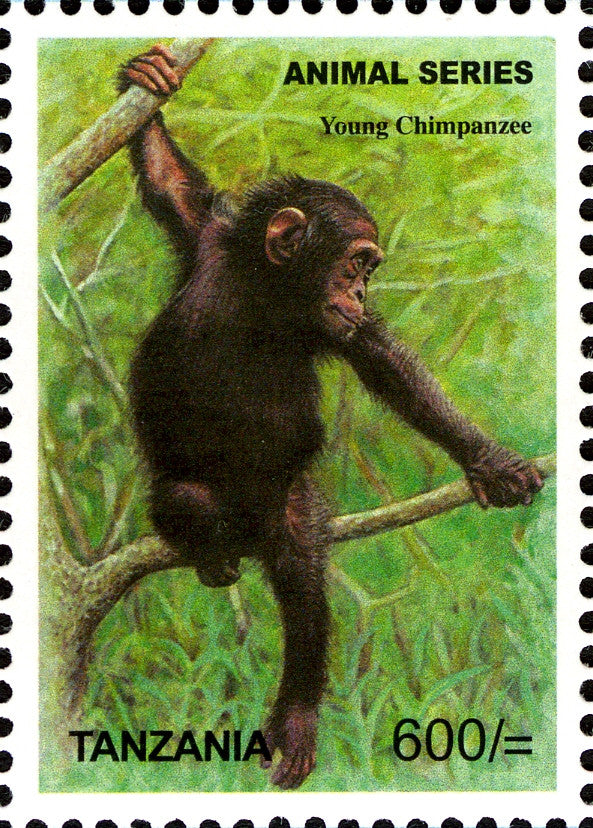 Fauna-Mammals-Chimpanzee - Philately Tanzania stamps