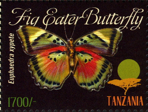 Butterflies of Africa - Euphaedra xypete - Philately Tanzania stamps