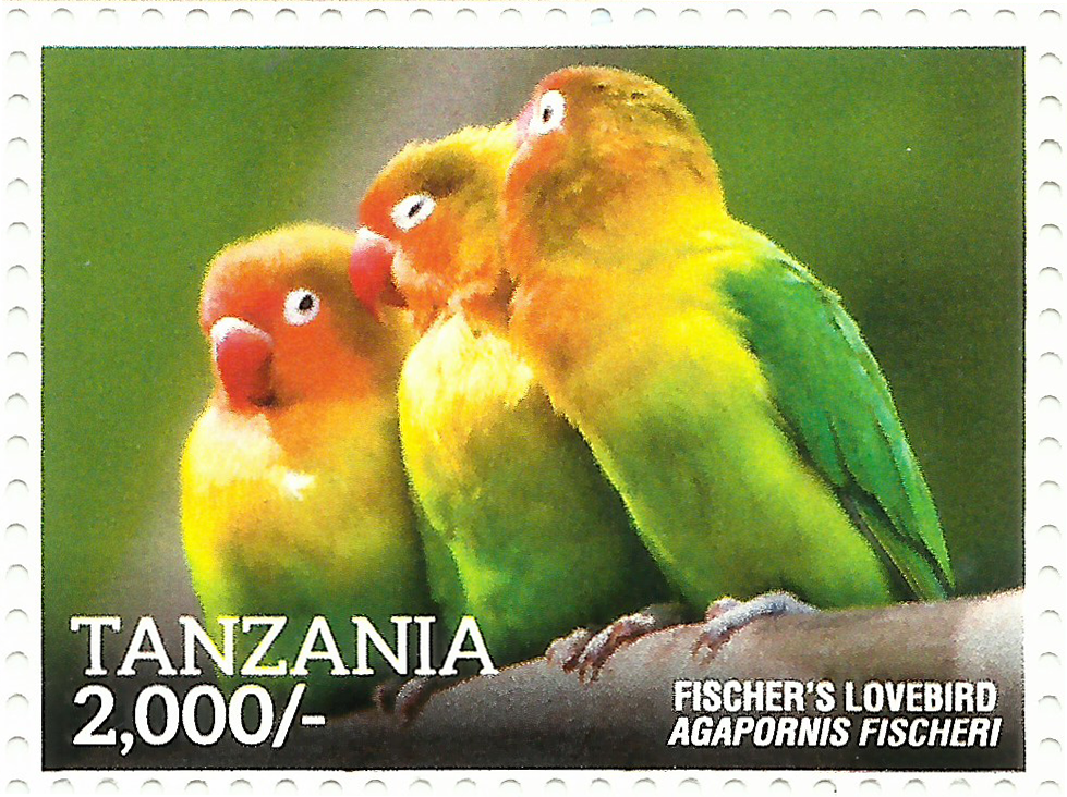 Fischer’s Lovvebird - Philately Tanzania stamps