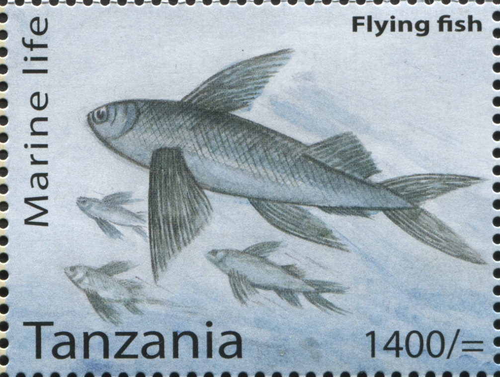 Marine Life - Flying fish - Philately Tanzania stamps
