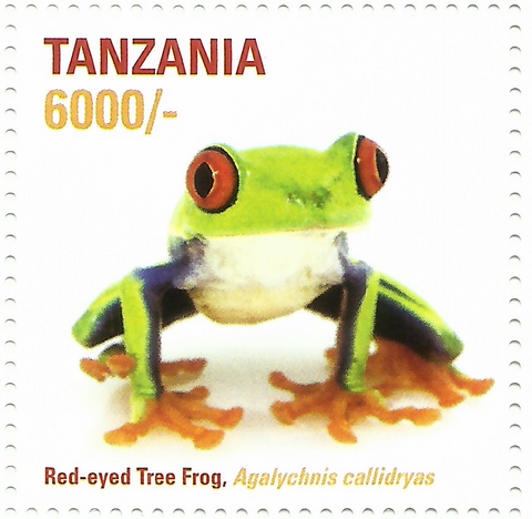 African Frogs- red eyes - Philately Tanzania stamps