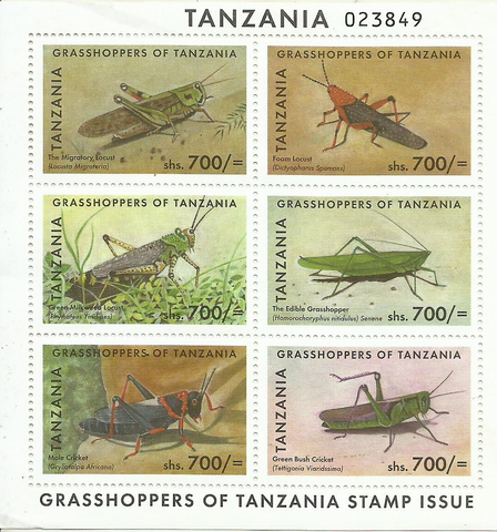 Grasshoppers of Tanzania - Sheetlet - Philately Tanzania stamps