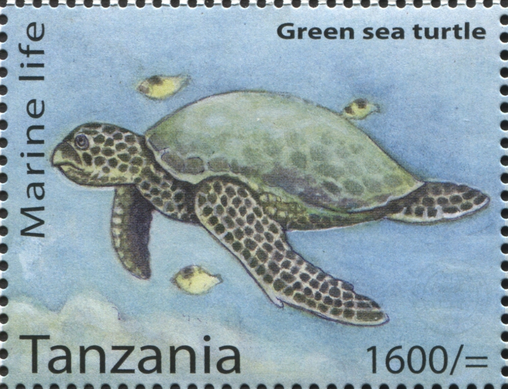 Marine Life - Green Sea Turtle - Philately Tanzania stamps