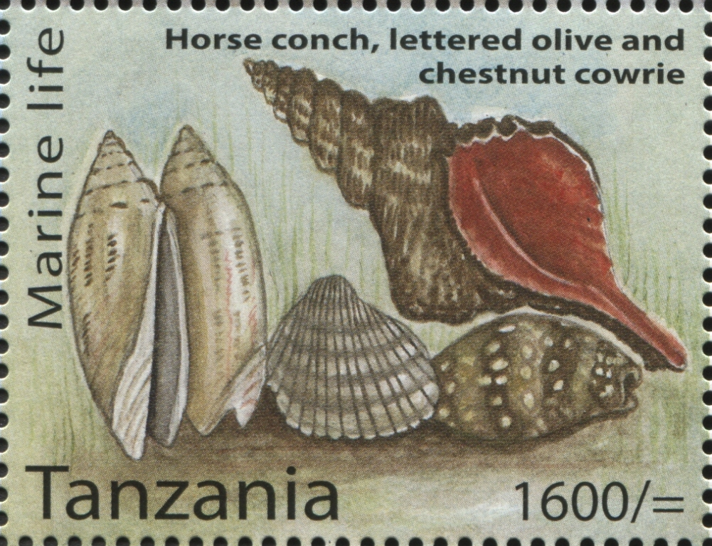 Marine Life - Horse conch - Philately Tanzania stamps