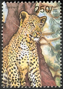Big five - Leopard - Philately Tanzania stamps
